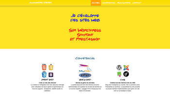 Portfolio CV Onepage